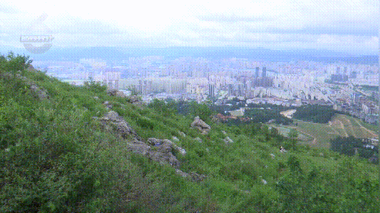 掌上春城(微信)
