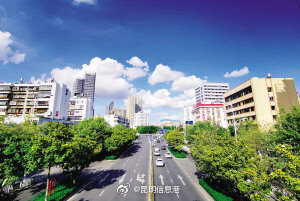 “中国春城”品牌打造按下加速键