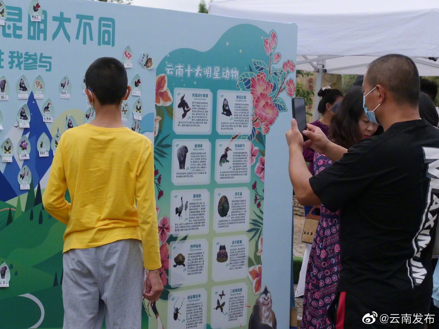 “云南发布”微博