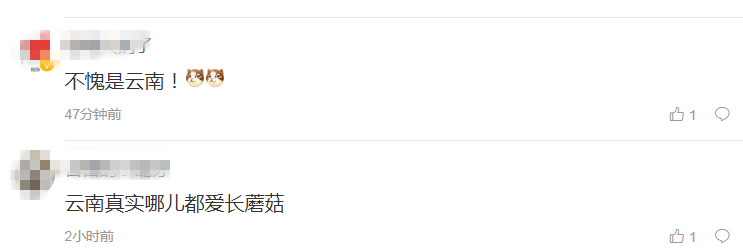 云南广播电视台(微信)