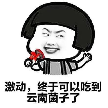 云南广播电视台(微信)