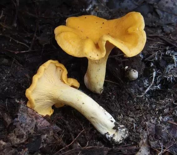 云南广播电视台(微信)