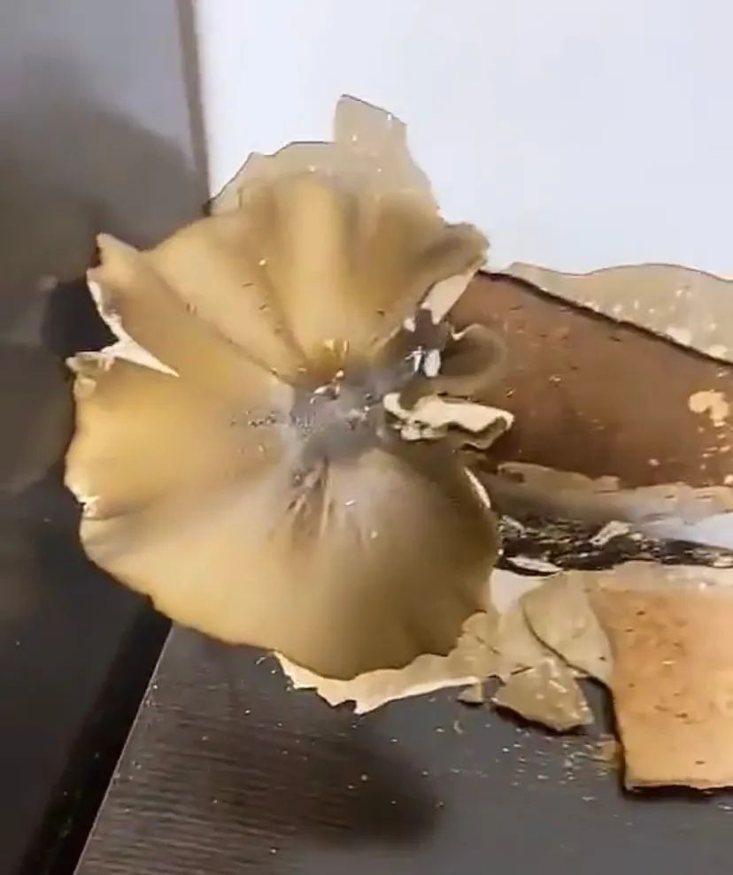 云南广播电视台(微信)