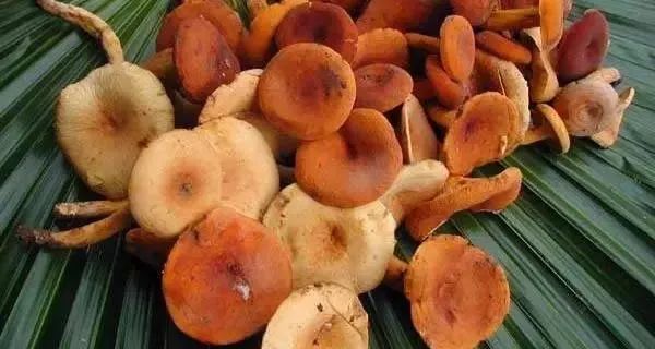 云南广播电视台(微信)