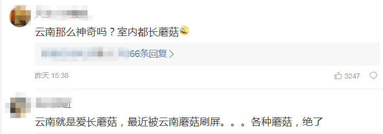 云南广播电视台(微信)