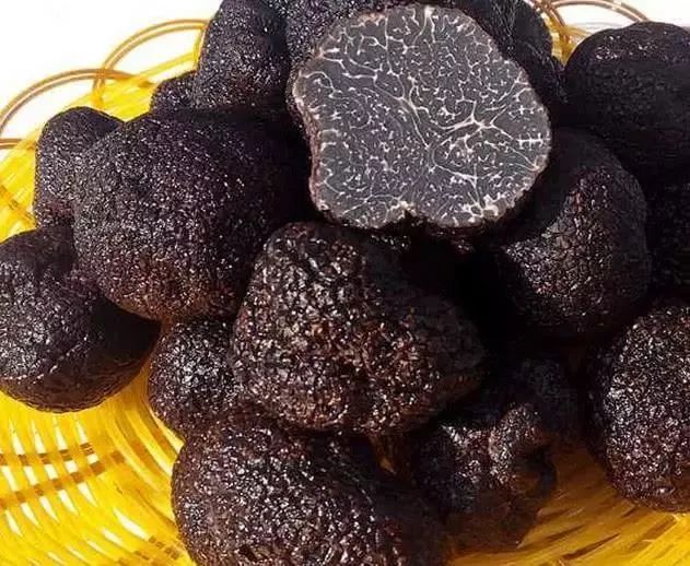 云南广播电视台(微信)