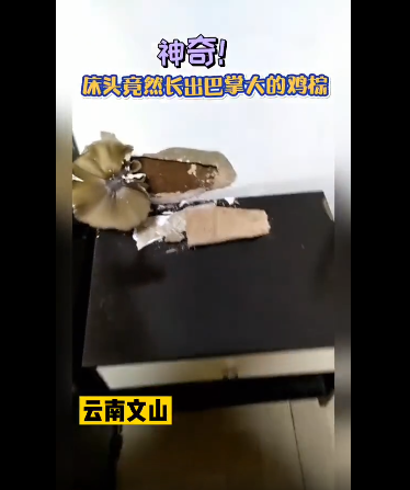 云南广播电视台(微信)