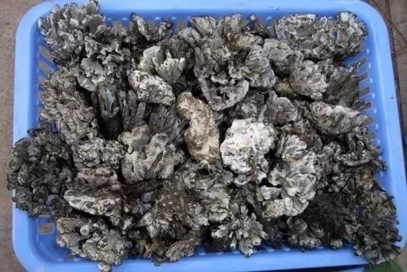 云南广播电视台(微信)