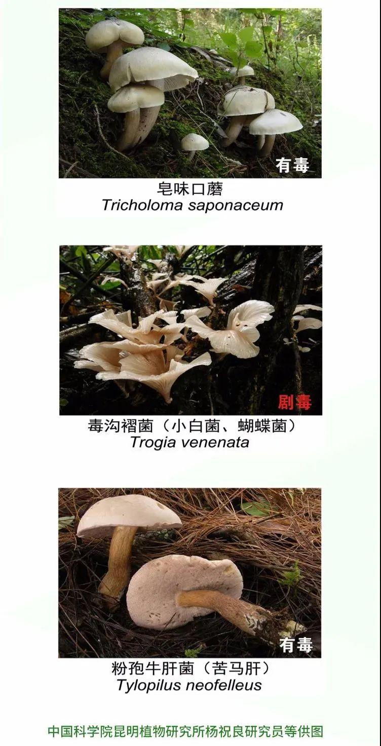 云南广播电视台(微信)