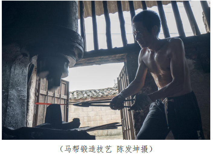 云南省文化和旅游厅