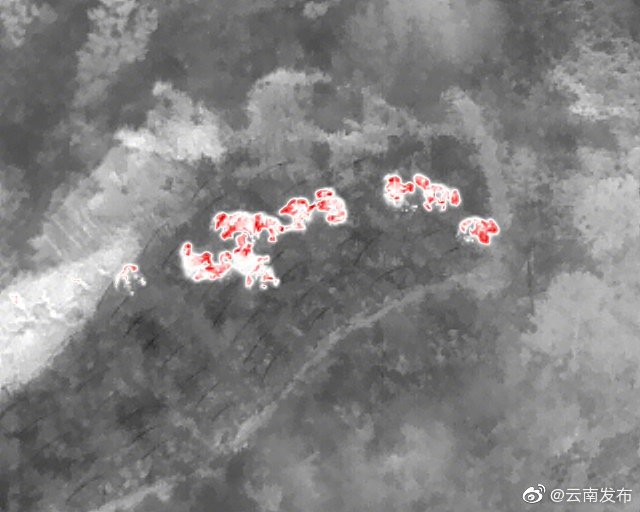 “云南发布”微博