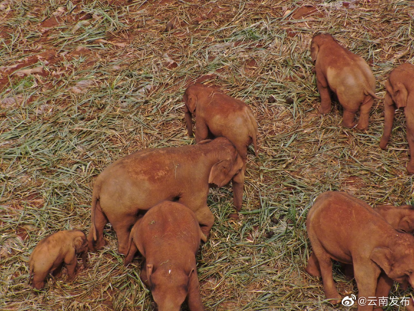 “云南发布”微博