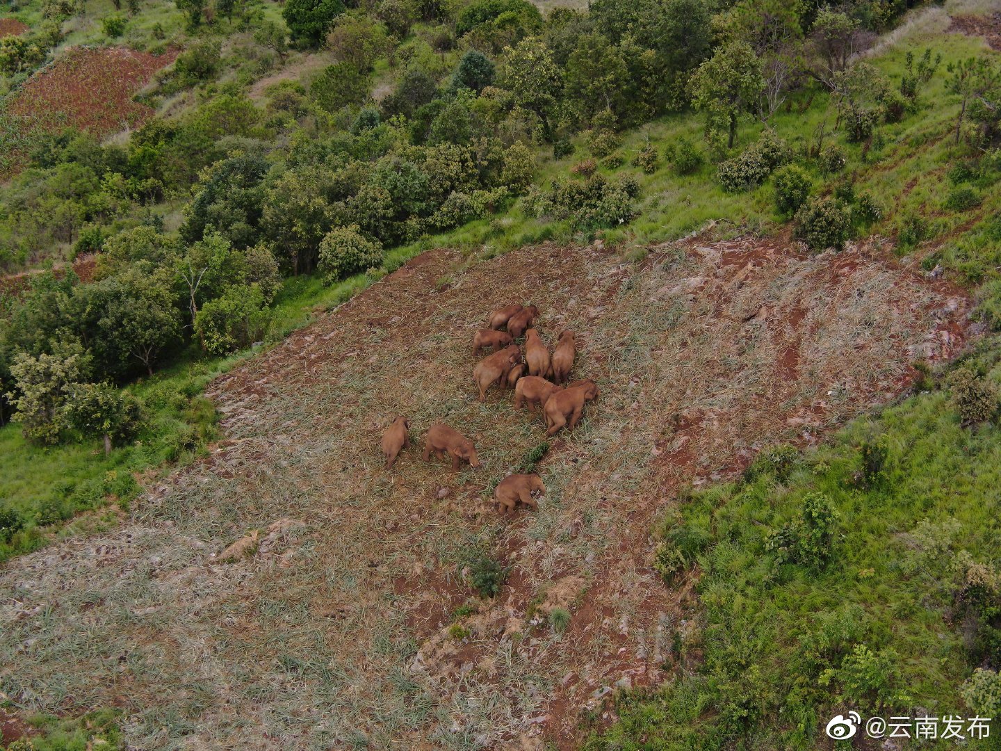 “云南发布”微博