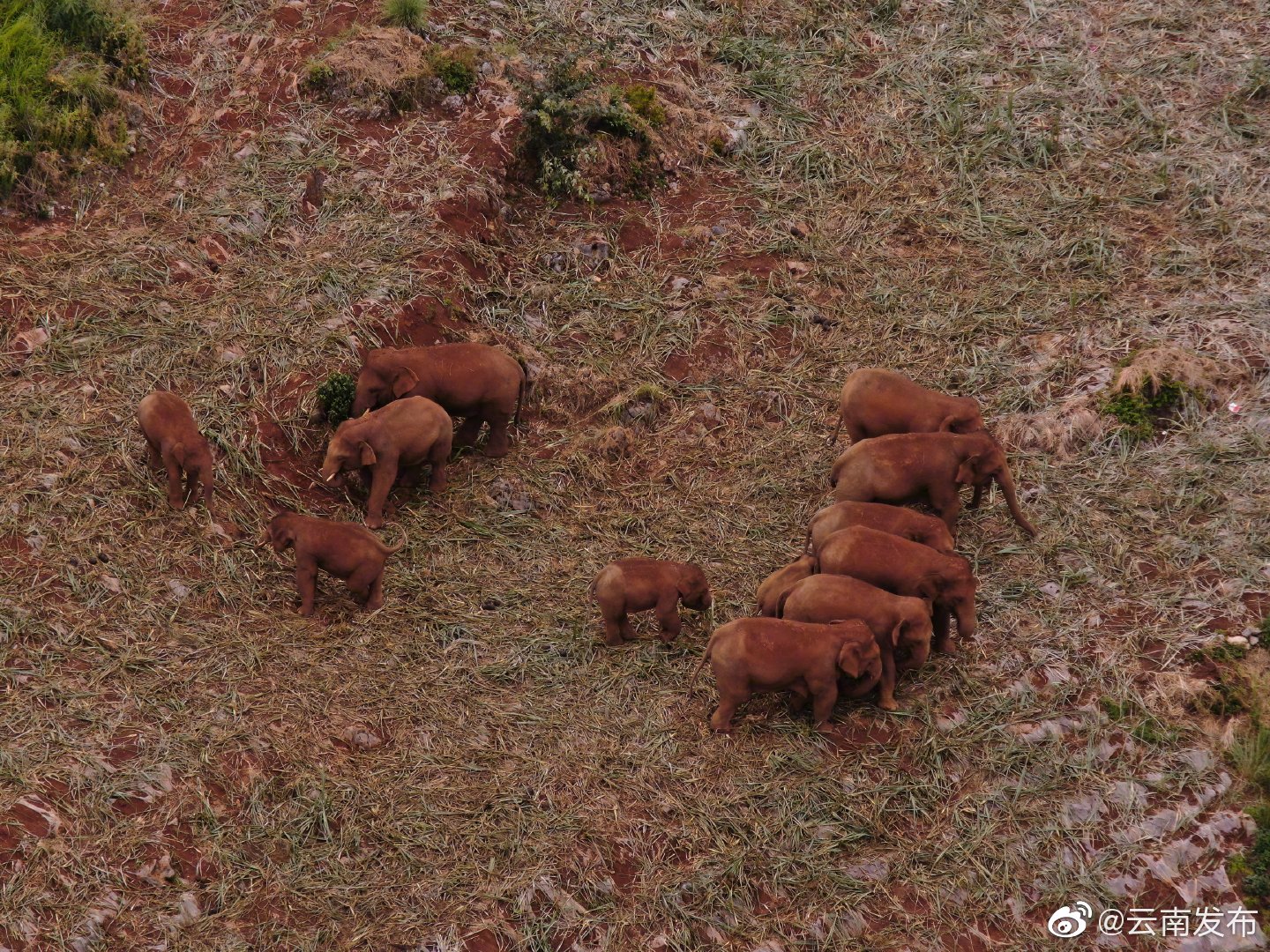 “云南发布”微博