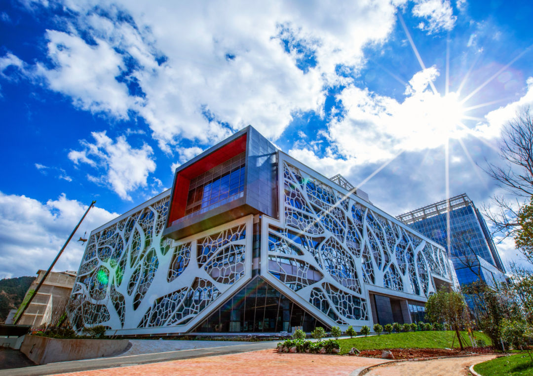 云南省人民政府网