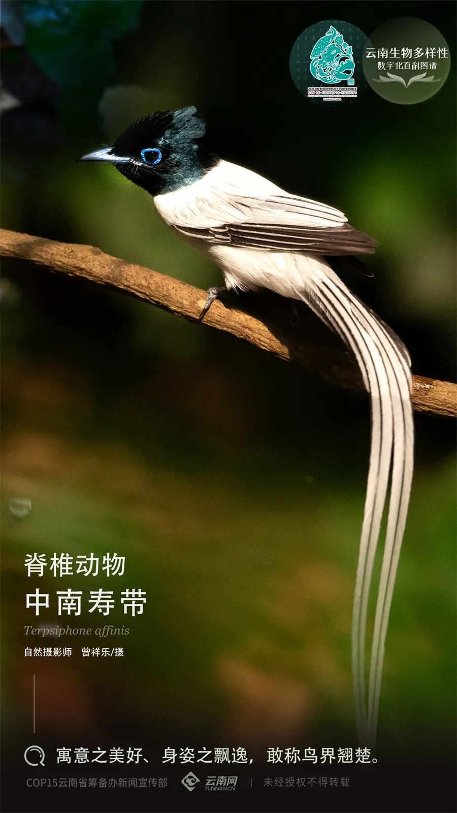 云南省人民政府网