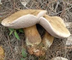 云南疾控(微信)