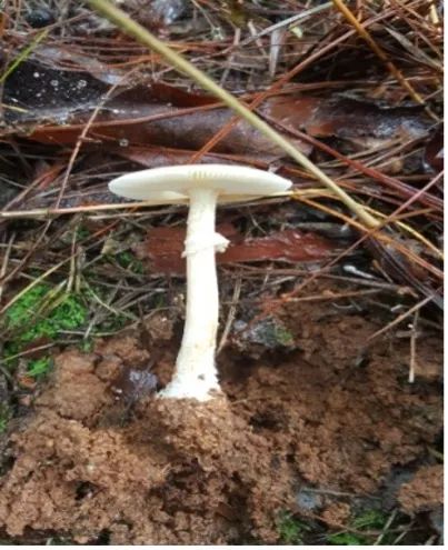 云南疾控(微信)