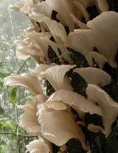 云南疾控(微信)