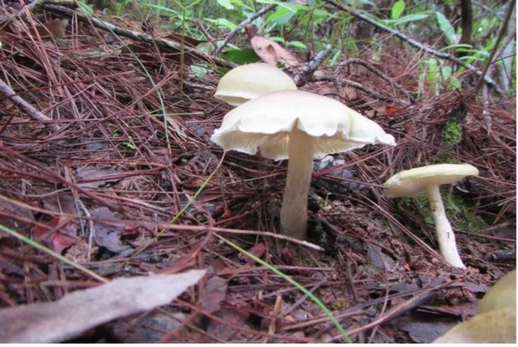 云南疾控(微信)