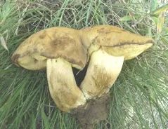 云南疾控(微信)