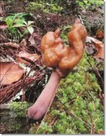 云南疾控(微信)