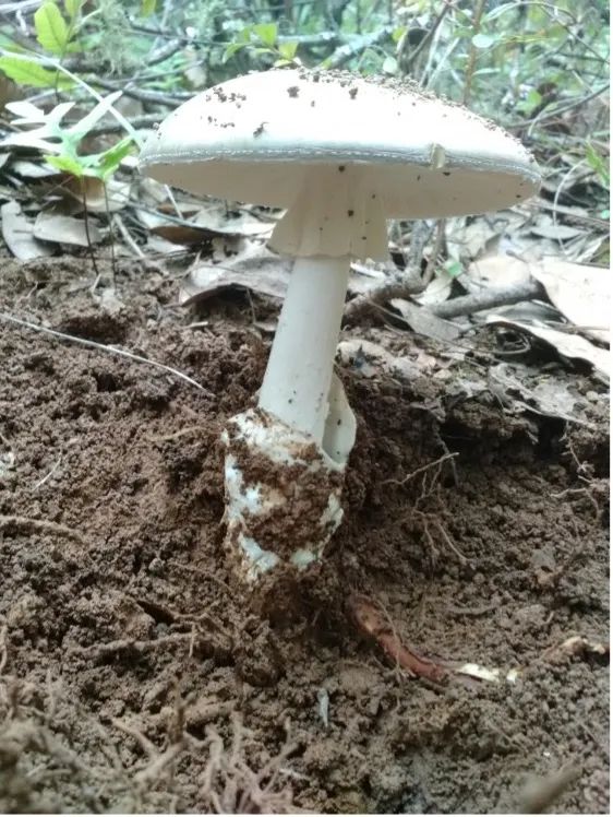 云南疾控(微信)