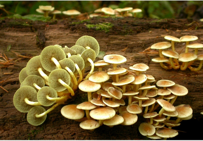 云南疾控(微信)