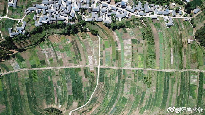 “云南发布”微博