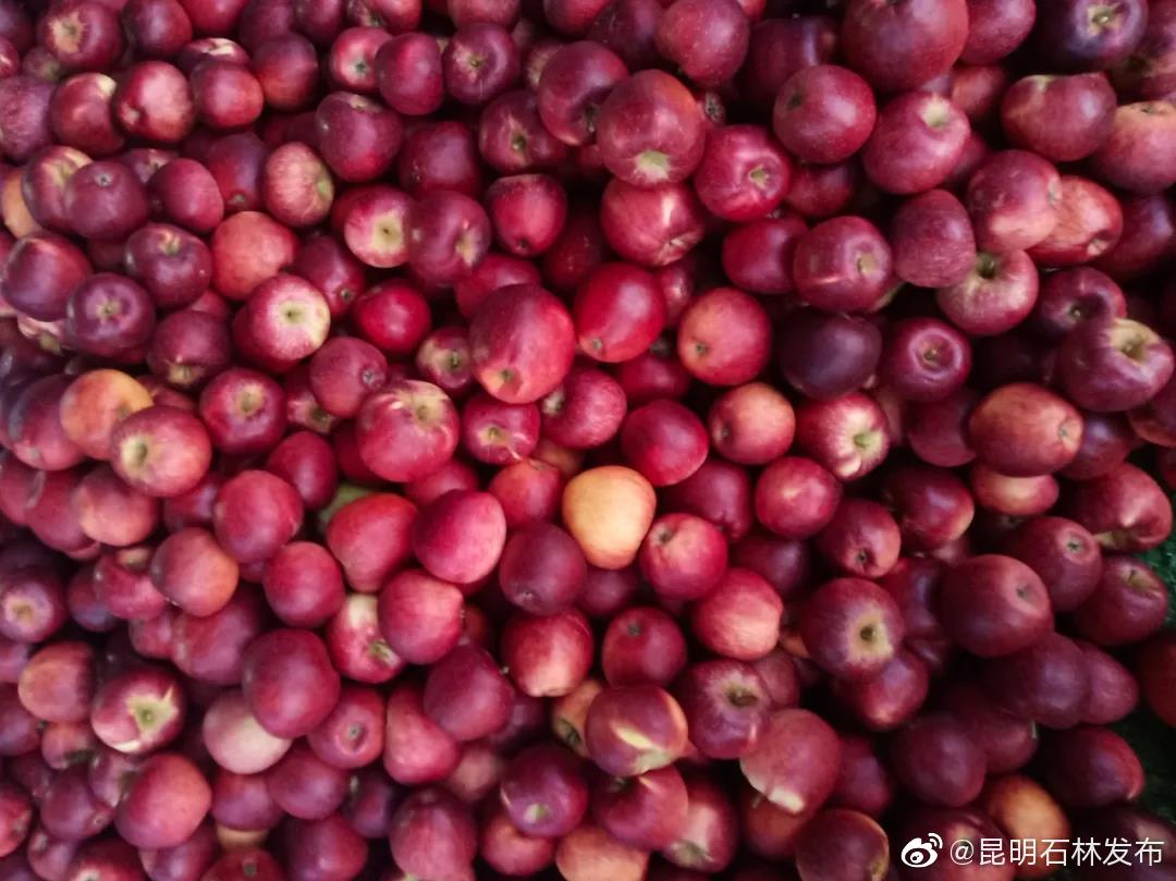 “昆明石林发布”微博