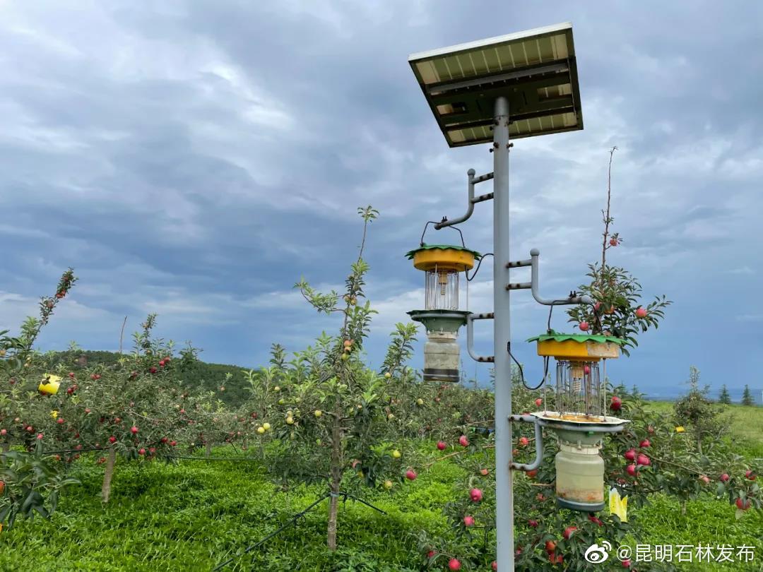 “昆明石林发布”微博