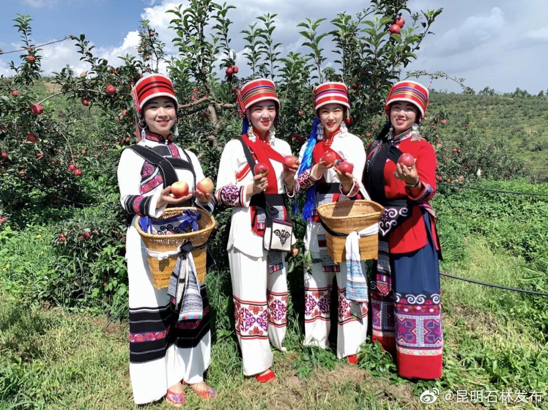 “昆明石林发布”微博