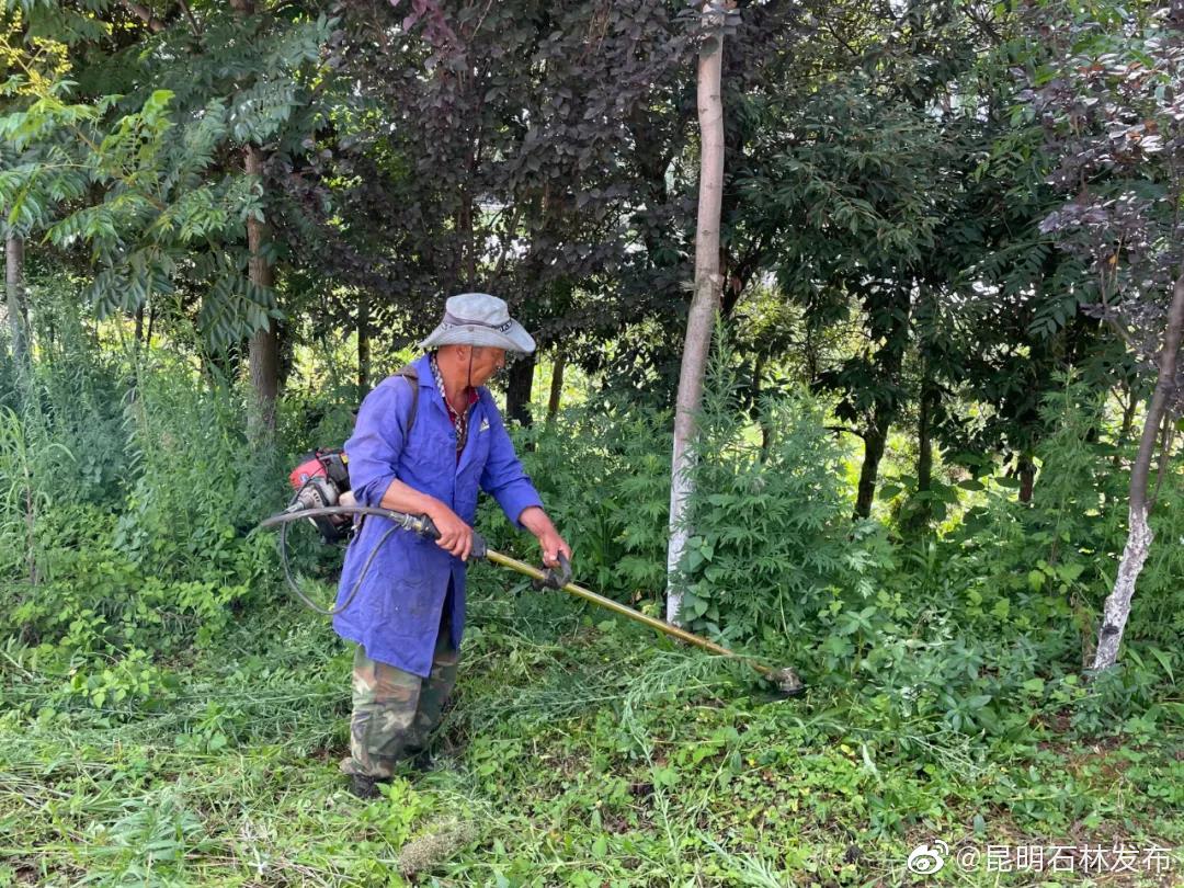 “昆明石林发布”微博