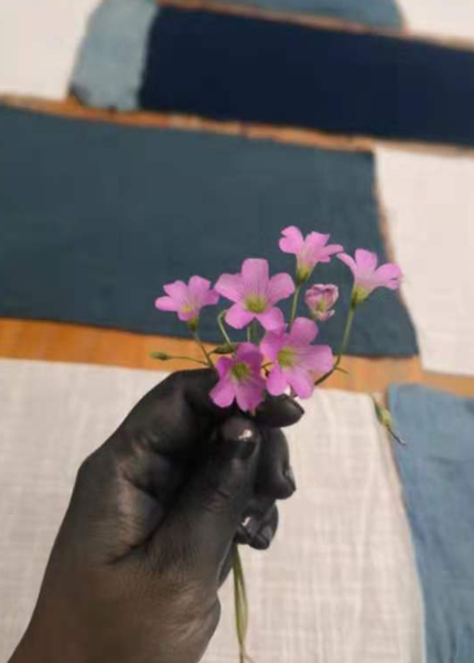 云南省图书馆(微信)