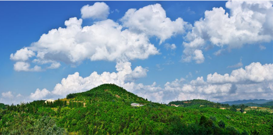 云南省文化和旅游厅