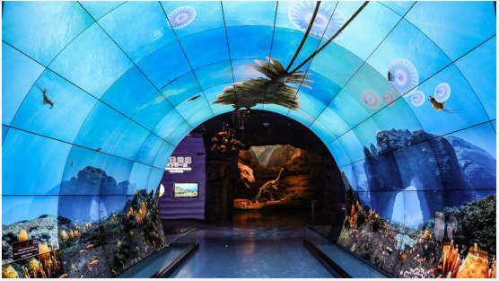 云南省文化和旅游厅