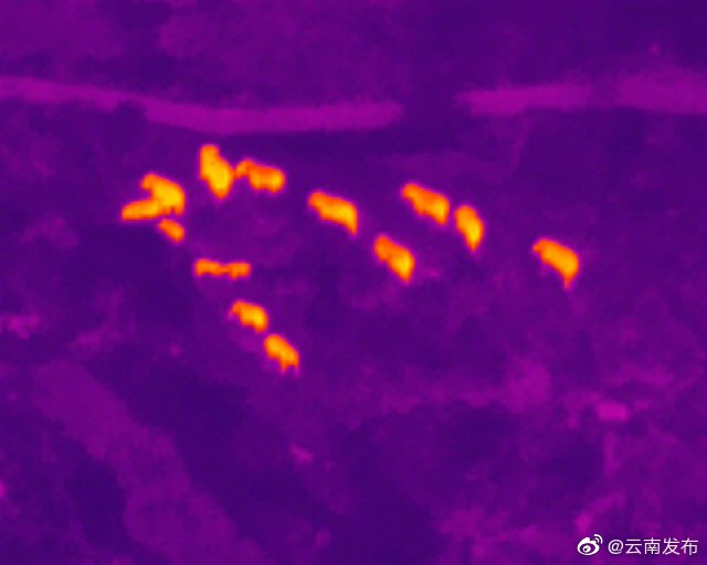 “云南发布”微博