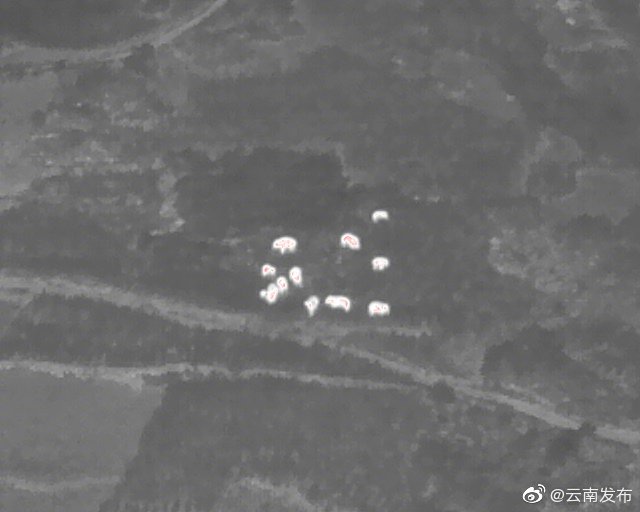 “云南发布”微博