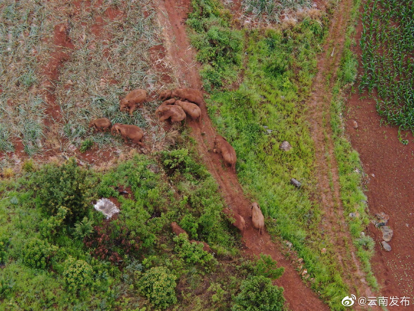 “云南发布”微博