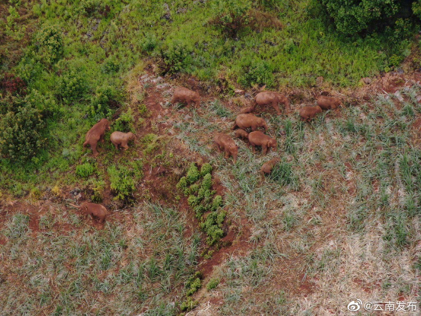“云南发布”微博