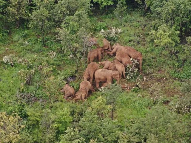 春城晚报(微信)