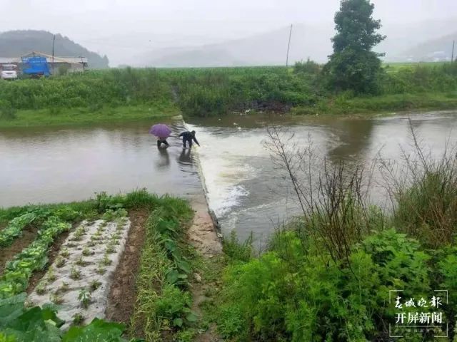 春城晚报(微信)