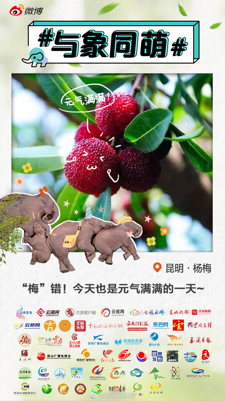 美味“预警”！快来跟着大象尝“云果”~