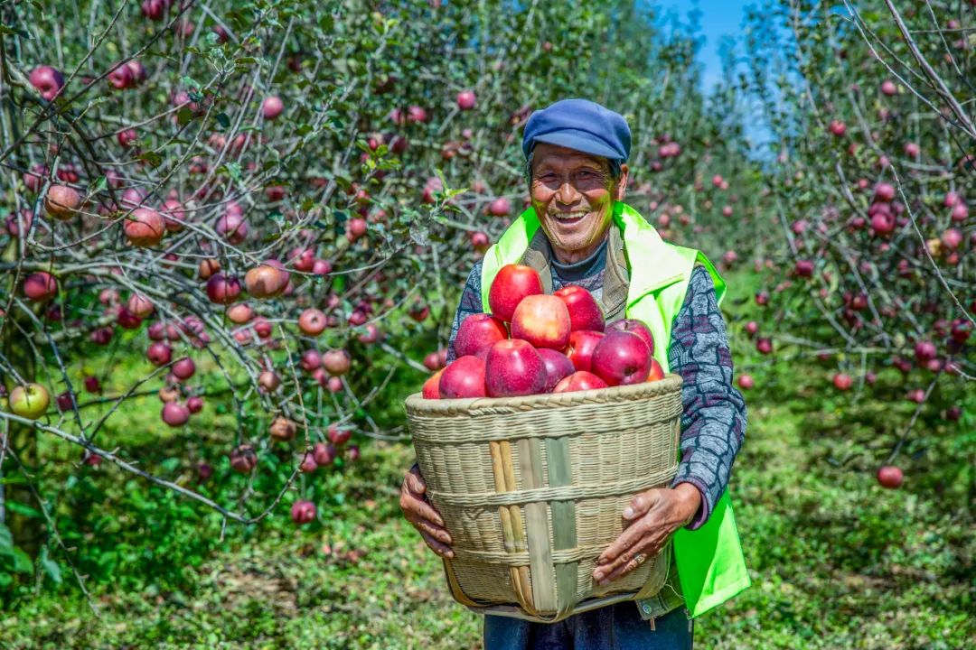云南省人民政府网