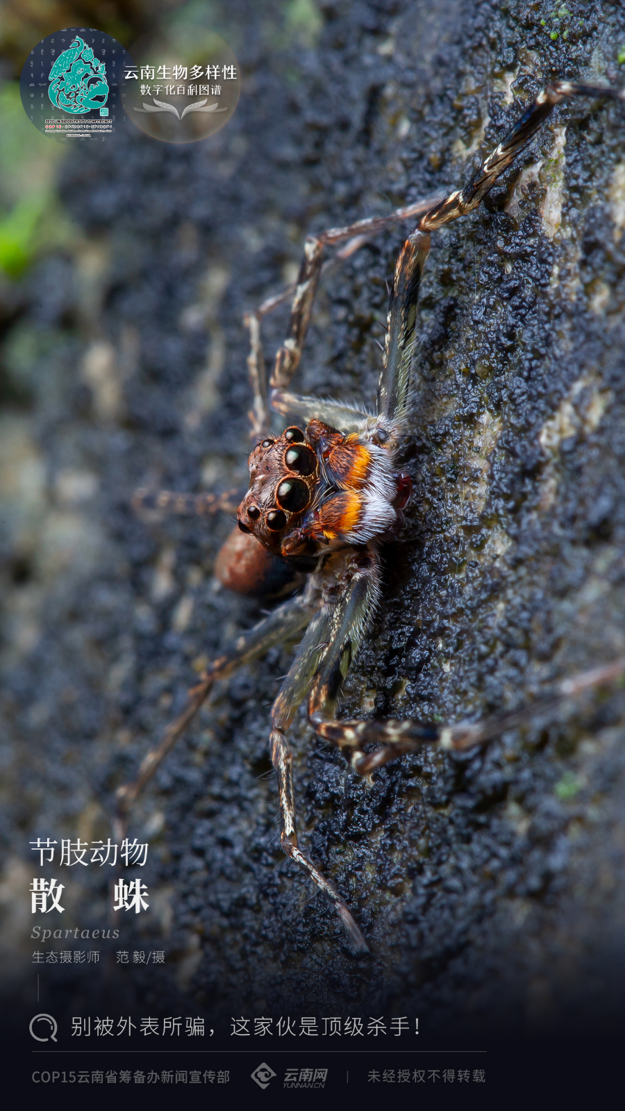 云南省人民政府网