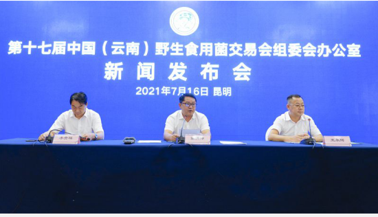 云南省文化和旅游厅