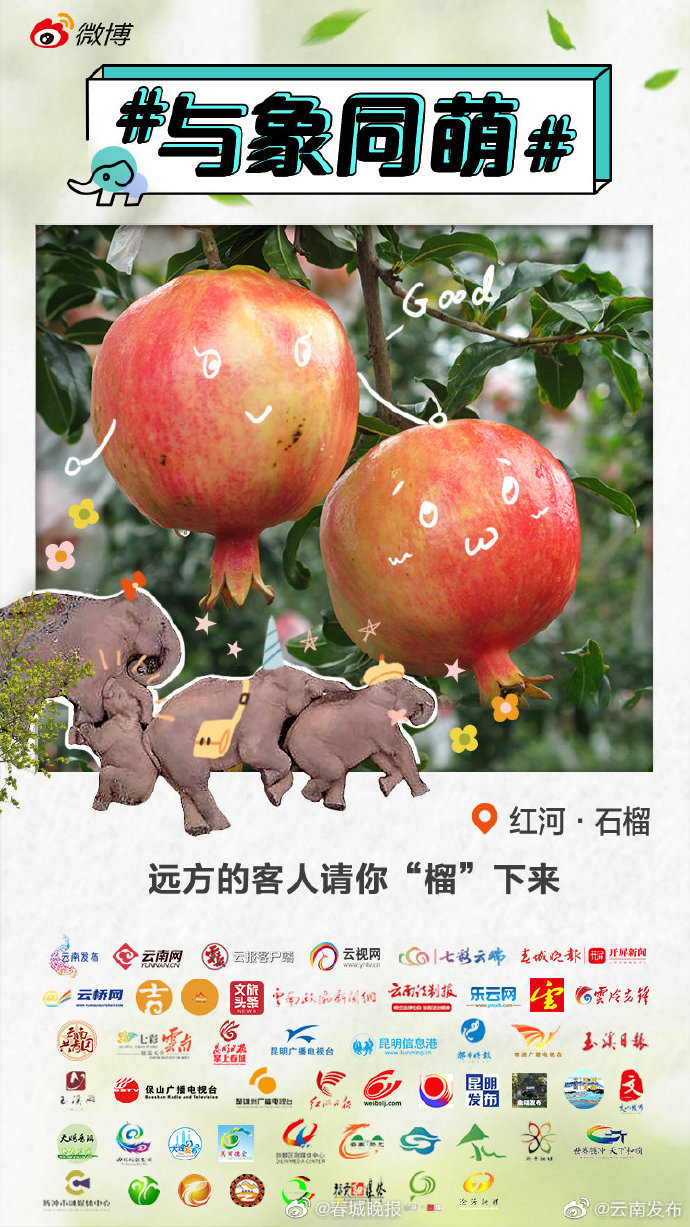 红河石榴：可以吃的“红宝石”，你见过吗？