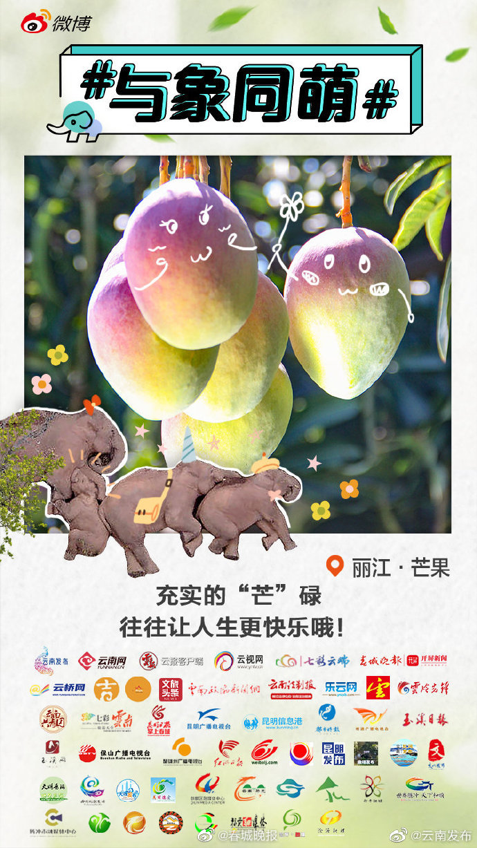丽江芒果：神仙口感！这是你一定要试试的彩色芒果