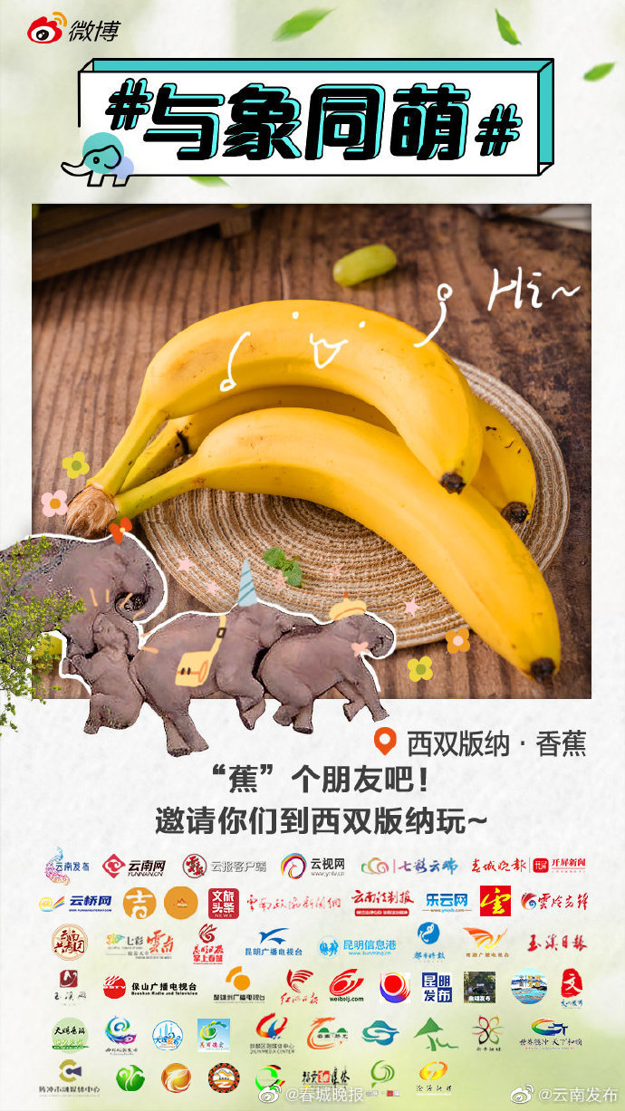 西双版纳香蕉：还是家乡的香蕉味道足啊！