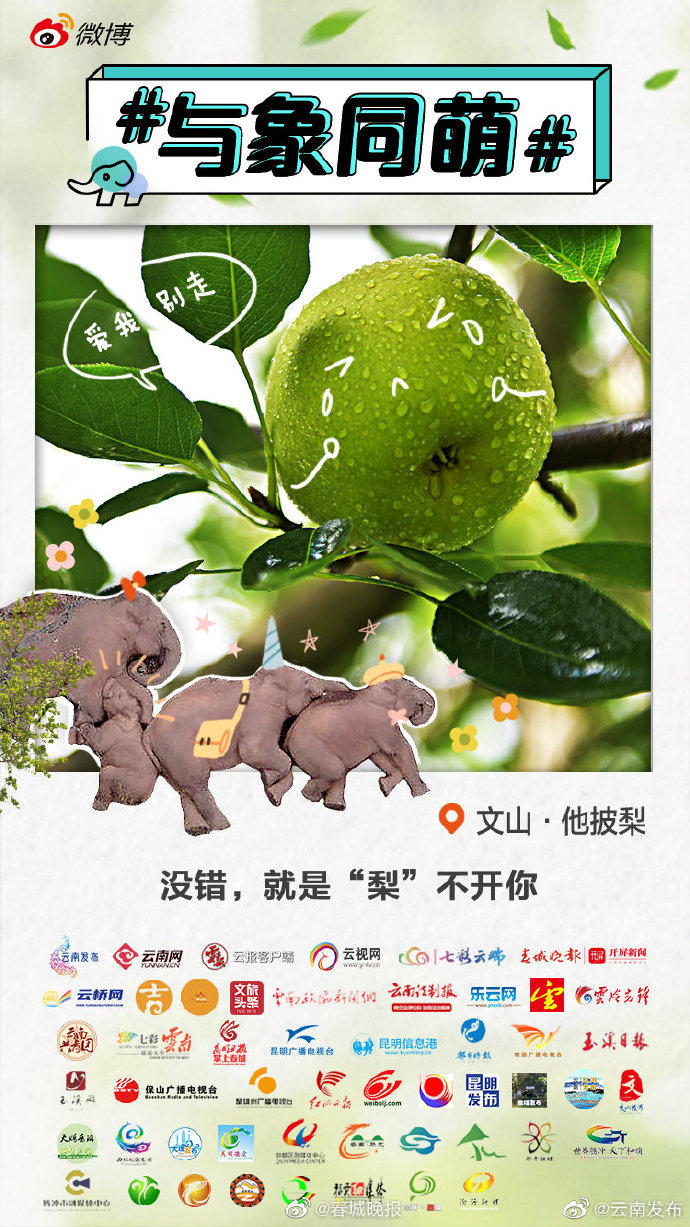 文山他披梨：春饮梨花之坠露，秋餐他披之梨甘